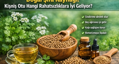 Doğal Şifa Kaynağı: Kişniş Otu Hangi Rahatsızlıklara İyi Geliyor?