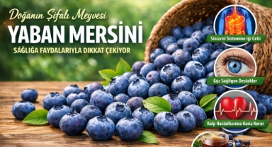 Doğanın Şifalı Meyvesi: Yaban Mersini Sağlığa Faydalarıyla Dikkat Çekiyor