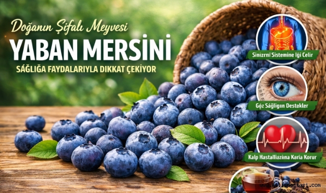 Doğanın Şifalı Meyvesi: Yaban Mersini Sağlığa Faydalarıyla Dikkat Çekiyor