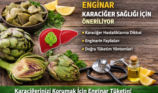 Enginar Karaciğer Sağlığı İçin Öne Çıkıyor