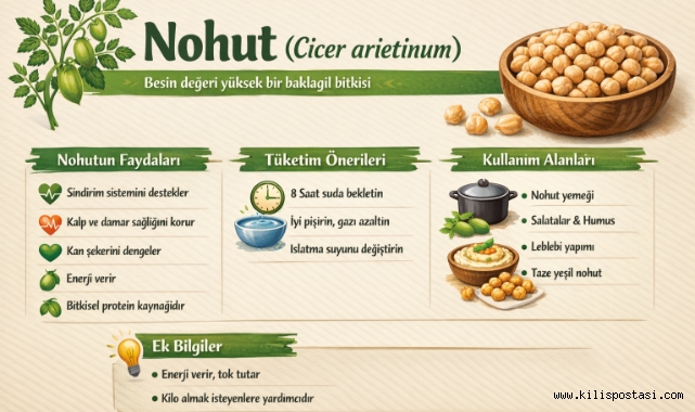 Nohut Nedir?