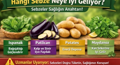 Sebzeler Sağlığın Anahtarı: Hangi Sebze Neye İyi Geliyor?