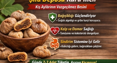Şifa Deposu Kuru İncir: Kış Aylarının Vazgeçilmez Besini