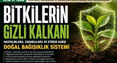 Tarımın Geleceğini Bitkilerin Bağışıklık Gücü Şekillendirecek