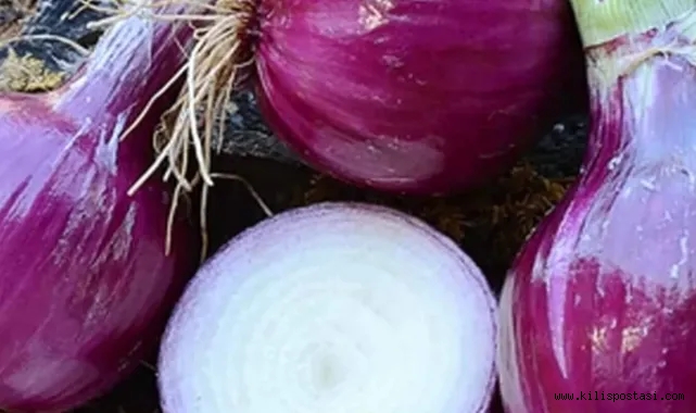 Soğanda Vergi Düştü, Ceviz ve Makarnada Arttı: İthalat Rejiminde Yeni Dönem