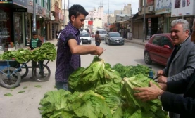 3 Tanesi 1 Lira!