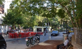 Ağaç Gölgesi
