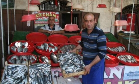 Balık satışları başladı