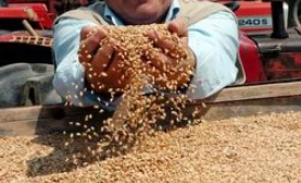 Çiftçilere Borç Ertelemesi Kolaylığı