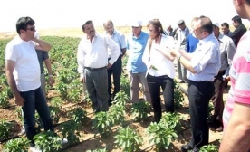 Elbeyli?de,