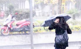 Fırtına ağaçları devirdi yağmur barajları doldurdu