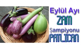 Gıda Ürünleri Zam Şampiyonu