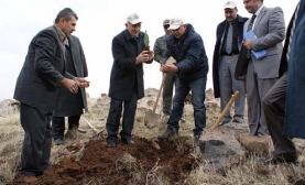 Kilis?te Ağaçlandırma Çalışmaları Başlatıldı