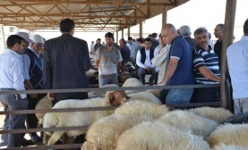 Kilis'te Kurban Kesim Yerleri Belli Oldu