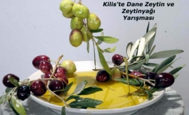 Kilis'te Zeytin ve Zeytinyağı Yarışması Düzenlenecek