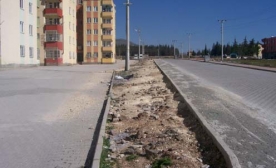 Kilisliler Ağaç Görmek İstiyor