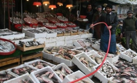 Kilislinin Balığaİlgisi Yüksek