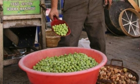 Kilosu 2,50 TL'den Satılıyor