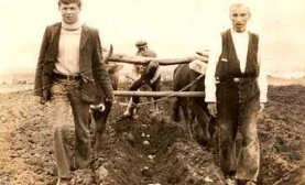 Köylü Neden İcralık Oldu?