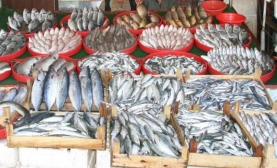 Kurban Bayramı Balıkçılara Yaramadı