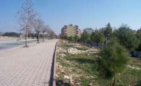 Mezarlık Yolu