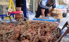 Kilis’te Taze Summak Çıktı