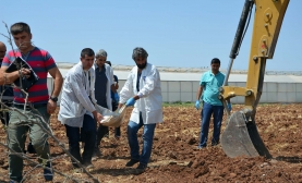 Kilis’e Roketler Atıldı