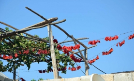 Kilis’te Kışa Hazırlık!