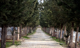 Aramızdan Ayrılanlar