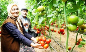 Seracıların sorunu da çok