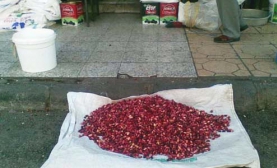 90 Bin Liralık Fıstık!