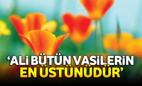 ‘Ali Bütün Vasilerin En Üstünüdür’