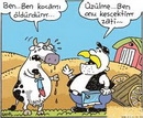 O Harfi İle Başlayan Atasözleri