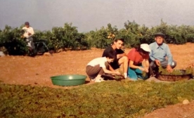 Sergi Sıcakları Kilis?i Kavuruyor, Ama Sergi Seren Yok!
