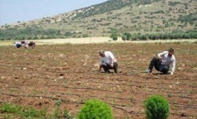 Sulama Sistemlerinin Dönem Kontrolleri Yapıldı