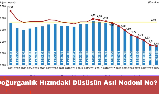 Doğurganlık Hızındaki Düşüşün Asıl Nedeni Ne?