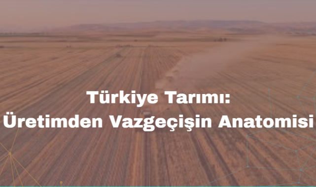 Türkiye'de Tarımı: Üretimden Vazgeçişin Anatomisi
