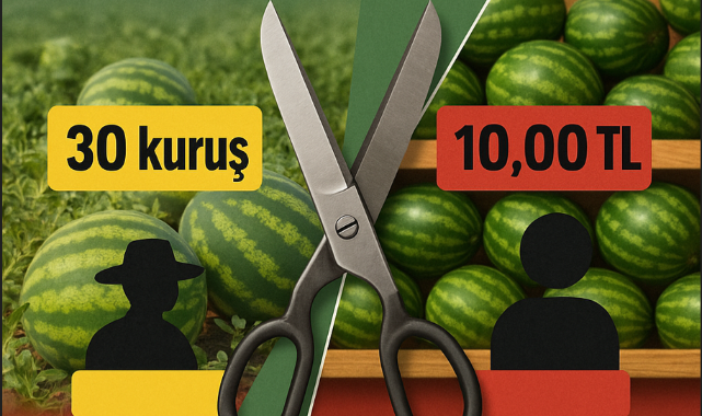 Tarla ile Market Arasındaki Makas: Kimin Cebine, Kimin Zararına?