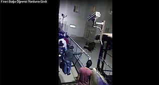 Firari Boğa Öğrenci Yurduna Girdi
