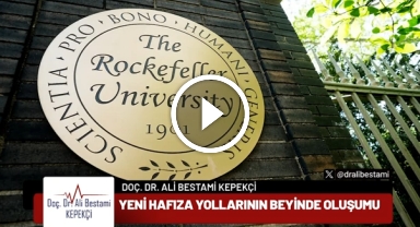 Öğrenmede Tekrarın Önemi 